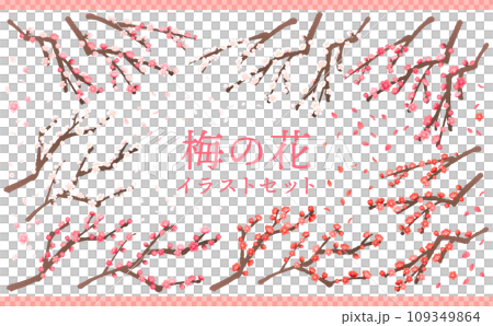 梅花插畫集 109349864