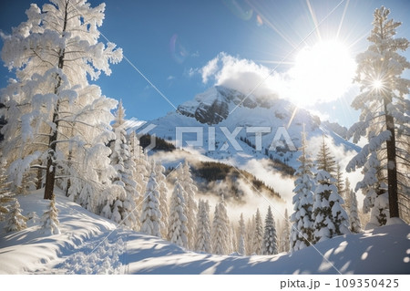 雪景色 雪景色 109350425