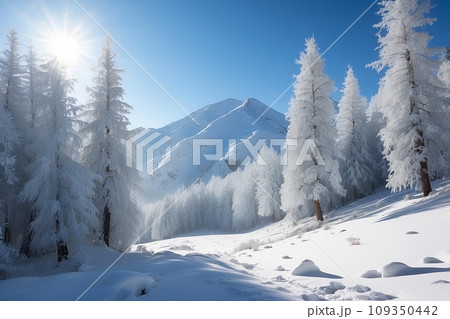 雪景色 雪景色 109350442