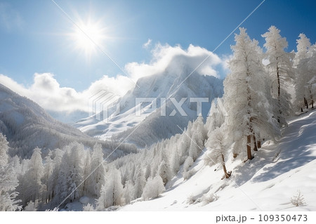 雪景色 雪景色 109350473