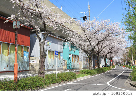 名古屋市北区 SAKUMACHI商店街 名古屋市北区 SAKUMACHI商店街 109350618