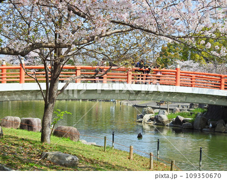 福岡県飯塚市にある勝盛公園指月橋と池 109350670