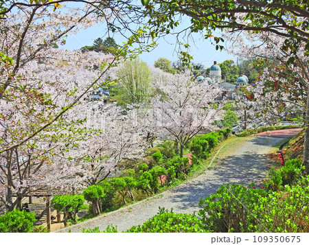 福岡県飯塚市の桜咲く春の勝盛公園 福岡県飯塚市の桜咲く春の勝盛公園 109350675