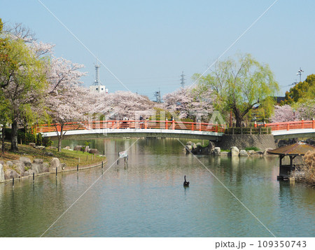 福岡県飯塚市にある勝盛公園指月橋と池 福岡県飯塚市にある勝盛公園指月橋と池 109350743