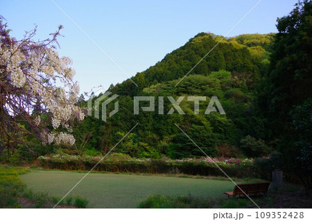 兵庫県淡路島　諭鶴羽ダム公園の運動広場 109352428