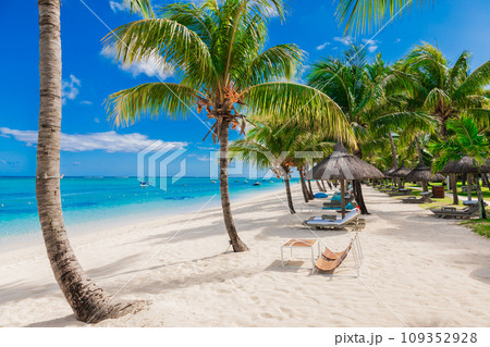 Chairs and umbrella at luxury beach. Tropical holiday banner with ocean 109352928
