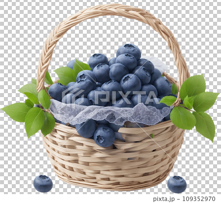 berries in basket berries in basket 109352970