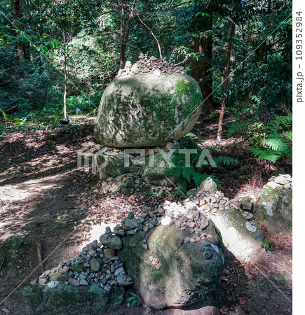 気多大社　入らずの森（石川県羽咋市） 109352984