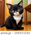 様子を伺う猫 109353181