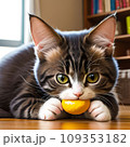 咥えている猫 109353182