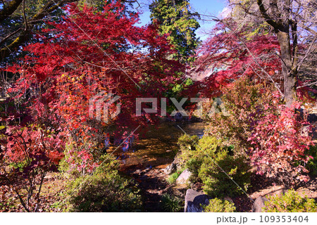 甲斐武田氏の菩提寺-恵林寺 109353404