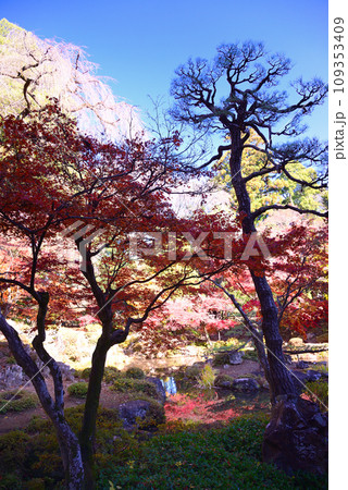 甲斐武田氏の菩提寺-恵林寺 109353409