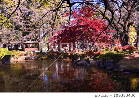 甲斐武田氏の菩提寺-恵林寺 甲斐武田氏の菩提寺-恵林寺 109353430