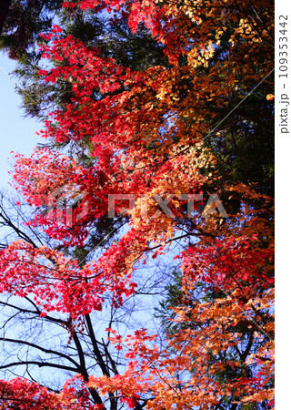 甲斐武田氏の菩提寺-恵林寺 109353442