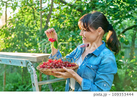 Happy woman with harvest of red ripe cherries in summer garden 109353444