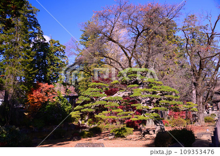 甲斐武田氏の菩提寺-恵林寺 甲斐武田氏の菩提寺-恵林寺 109353476