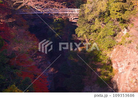 日本三奇橋ー甲斐の猿橋 109353686