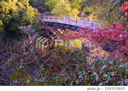 日本三奇橋ー甲斐の猿橋 109353693