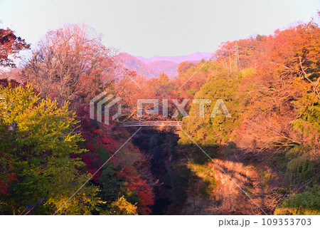 日本三奇橋ー甲斐の猿橋 日本三奇橋ー甲斐の猿橋 109353703