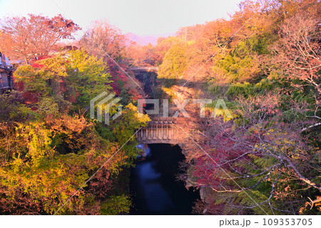 日本三奇橋ー甲斐の猿橋 109353705