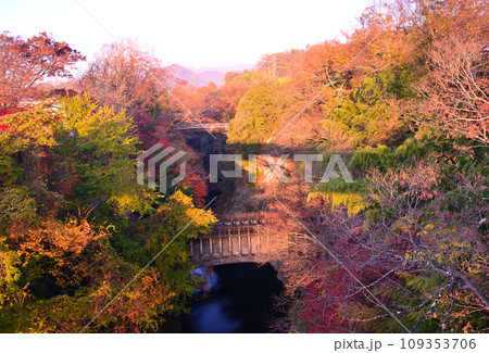 日本三奇橋ー甲斐の猿橋 109353706