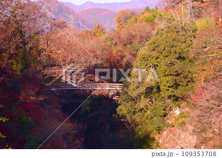 日本三奇橋ー甲斐の猿橋 109353708