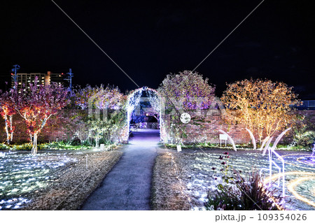 びわこ大津館のイルミネーション びわこ大津館のイルミネーション 109354026