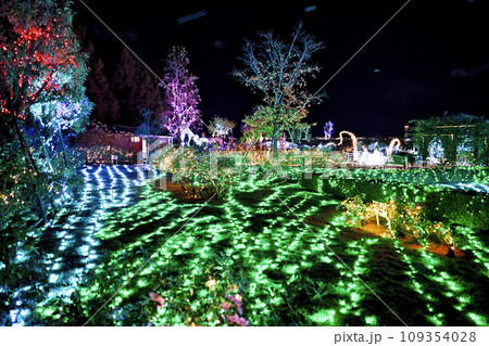 びわこ大津館のイルミネーション びわこ大津館のイルミネーション 109354028