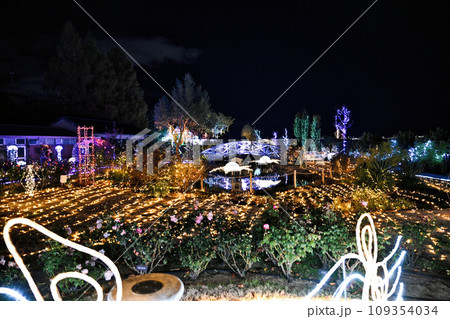 びわこ大津館のイルミネーション びわこ大津館のイルミネーション 109354034