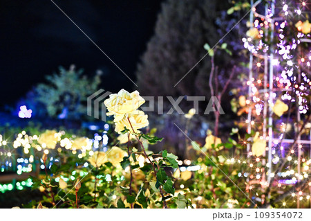 びわこ大津館のイルミネーション びわこ大津館のイルミネーション 109354072