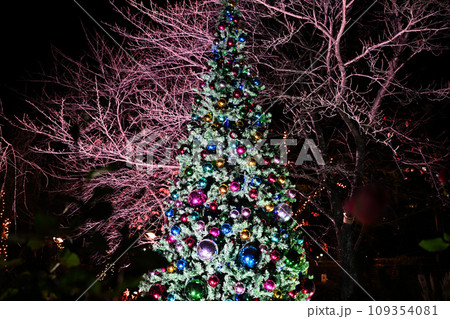 びわこ大津館のイルミネーション びわこ大津館のイルミネーション 109354081