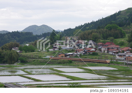 特急やくも号381系(国鉄色) 伯備線 上石見付近 水田 特急やくも号381系(国鉄色) 伯備線 上石見付近 水田 109354191