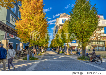 横浜の都市風景 センター北駅 横浜の都市風景 センター北駅 109354278