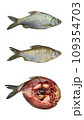 Fresh fish followed by scaled and finally butchered fish 109354703