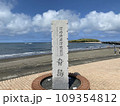 青島 109354812