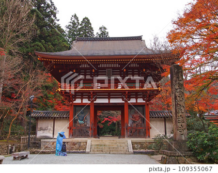 室生寺 仁王門 室生寺 仁王門 109355067