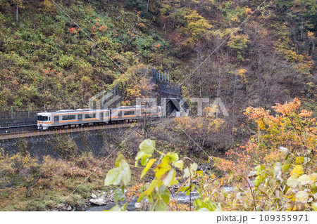 【高山本線】晩秋の奥飛騨を走行する普通列車 【高山本線】晩秋の奥飛騨を走行する普通列車 109355971