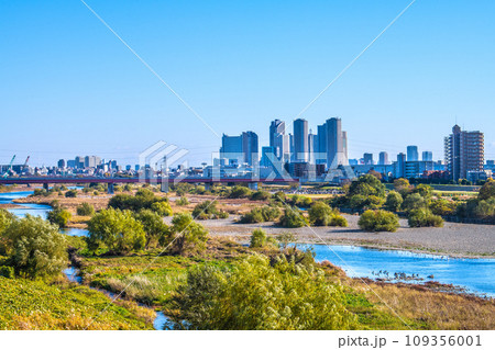 日本の東京都市景観 師走…二子玉川駅近くの多摩川や水鳥、武蔵小杉駅前のタワーマンション群・奥=3日 日本の東京都市景観 師走…二子玉川駅近くの多摩川や水鳥、武蔵小杉駅前のタワーマンション群・奥=3日 109356001