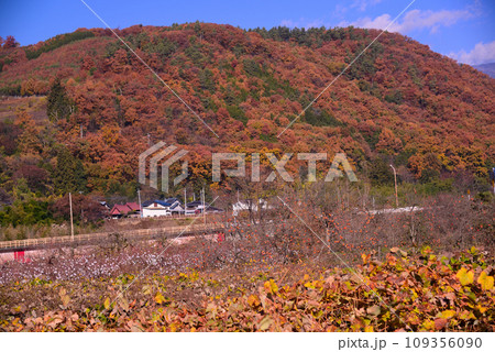 晩秋の甲州塩山 晩秋の甲州塩山 109356090