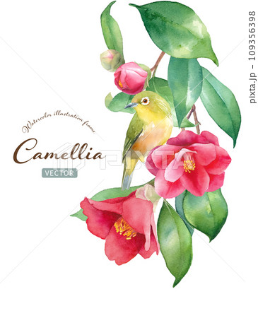 上から下がる赤いツバキに止まる小鳥（メジロ）の水彩イラスト。（ベクター。レイアウト変更可能）） 109356398
