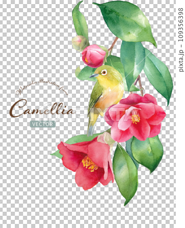 上から下がる赤いツバキに止まる小鳥（メジロ）の水彩イラスト。（ベクター。レイアウト変更可能）） 109356398