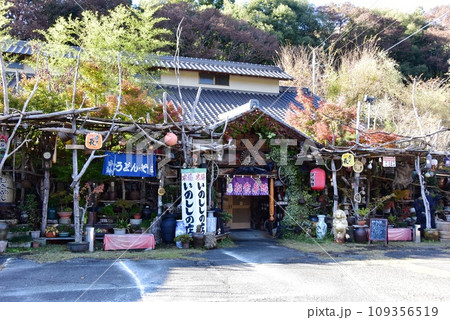 茨城県大子町　袋田の食事処前原と紅葉 109356519