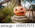 Jack O Lantern carved pumpin in autumn, kids decoration for Halloween 109357573