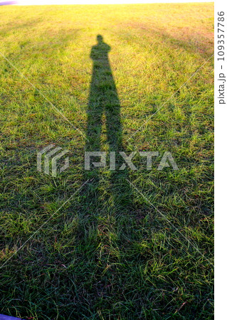 夕日に染まる草原　影　夏の日の影　大きな影 109357786