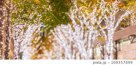 「東京都」丸の内中通りイルミネーション 109357899