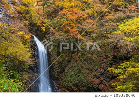 秋の大仙の滝 紅葉と滝 世立八滝 秋の大仙の滝 紅葉と滝 世立八滝 109358040