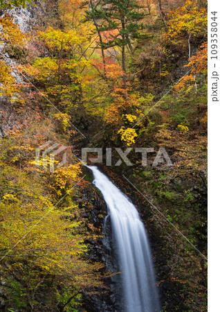 秋の大仙の滝 紅葉と滝 世立八滝 秋の大仙の滝 紅葉と滝 世立八滝 109358044