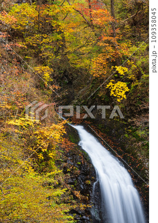秋の大仙の滝 紅葉と滝 世立八滝 秋の大仙の滝 紅葉と滝 世立八滝 109358045
