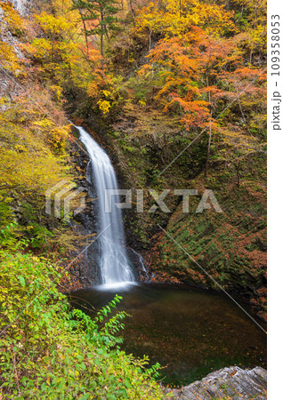 秋の大仙の滝 紅葉と滝 世立八滝 秋の大仙の滝 紅葉と滝 世立八滝 109358053