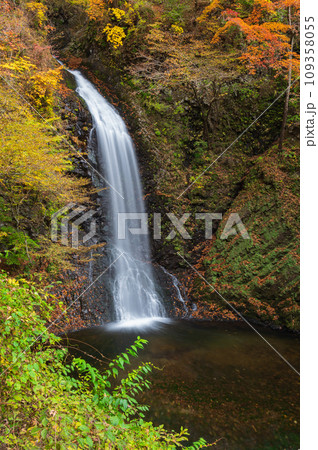 秋の大仙の滝 紅葉と滝 世立八滝 秋の大仙の滝 紅葉と滝 世立八滝 109358055